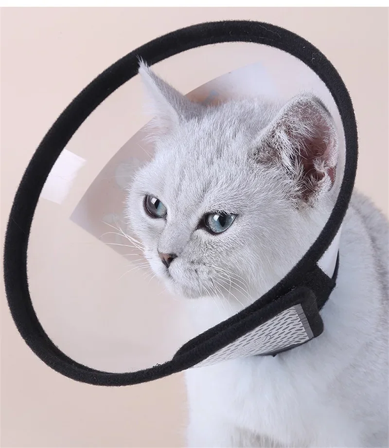 Pet Protective Collar Dog Neck Cone Recovery Hood For Anti-Bite Lick Surgery Wound Healing Cat Health Medical Circle Water Proof