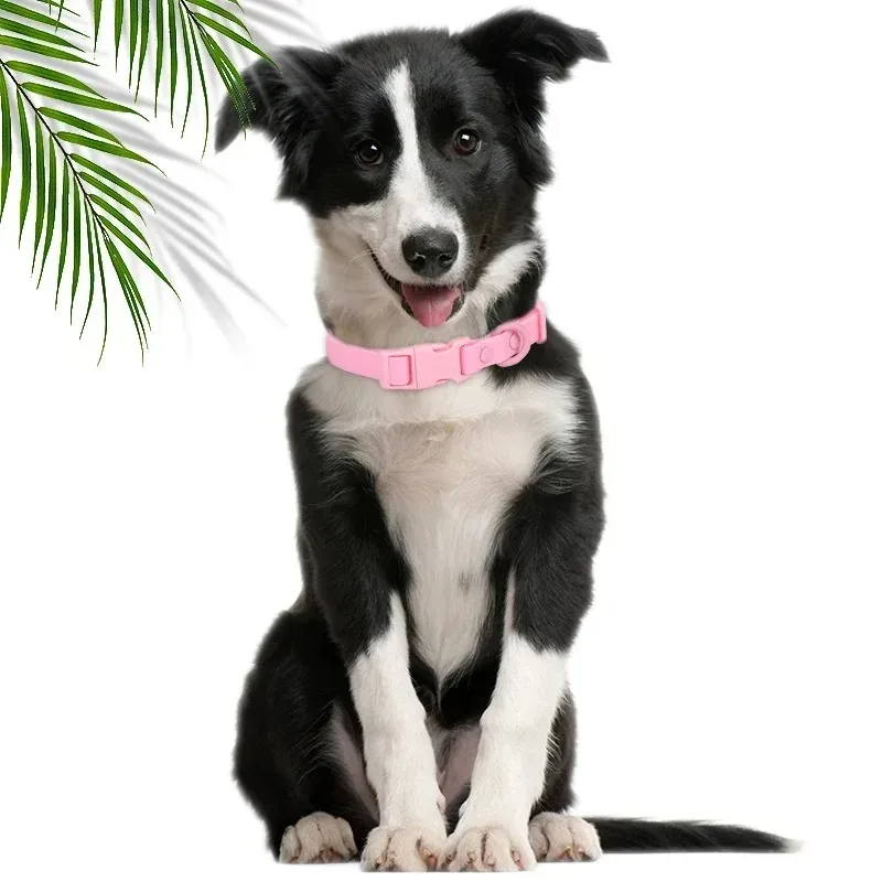 New Macaron Colored PVC Dog Collar Waterproof Dirt Resistant Easy To Clean Pet Collar Adjustable Neck Collar Pet Dog Collar