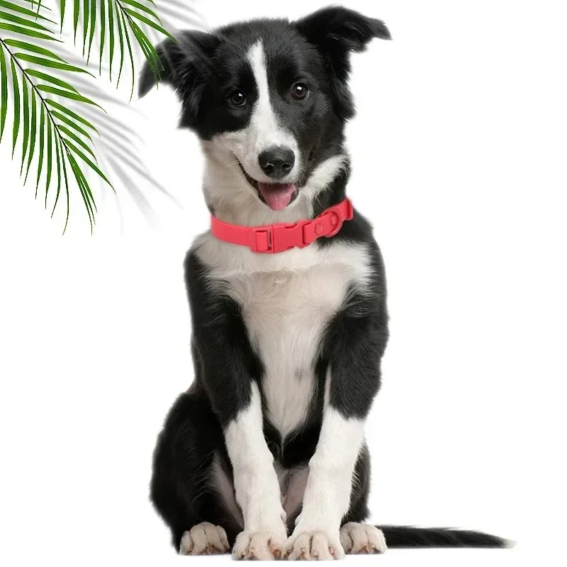 New Macaron Colored PVC Dog Collar Waterproof Dirt Resistant Easy To Clean Pet Collar Adjustable Neck Collar Pet Dog Collar