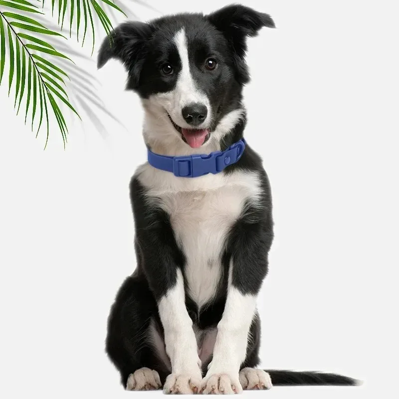 New Macaron Colored PVC Dog Collar Waterproof Dirt Resistant Easy To Clean Pet Collar Adjustable Neck Collar Pet Dog Collar