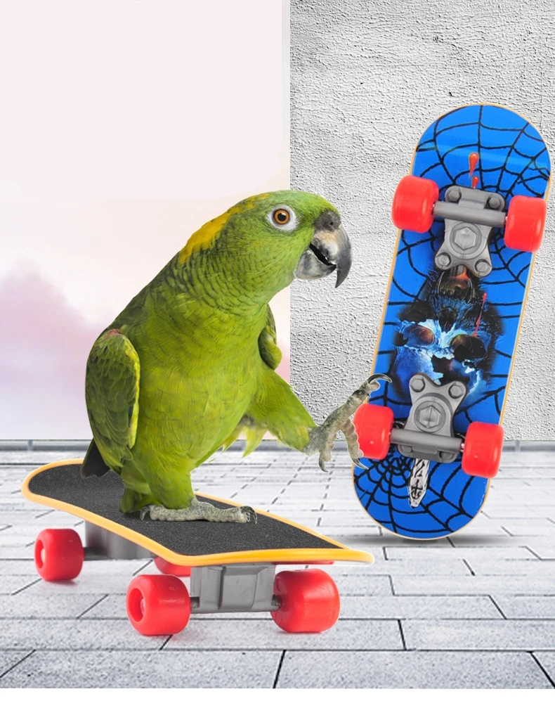 1 PC Parrot Training Skateboard Bird Supplies Skates Lovebird Canaries Perch for Parrots For Birds Calopsita Birds Accessories