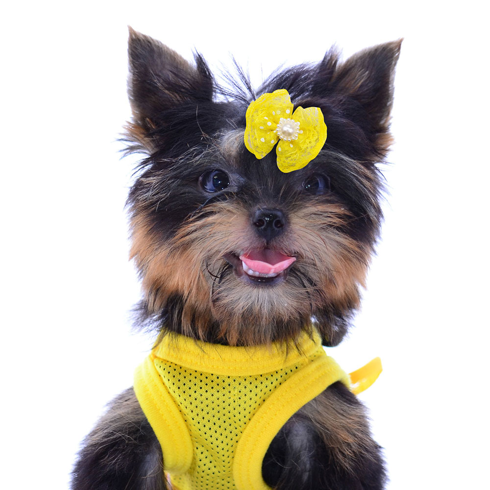 100pcs Bulk Pet Dog Hair Accessories Dog Hair Bows with Diomand Lace Rubber Band Grooming for Small Dogs Puppy Bows Pet Supplies