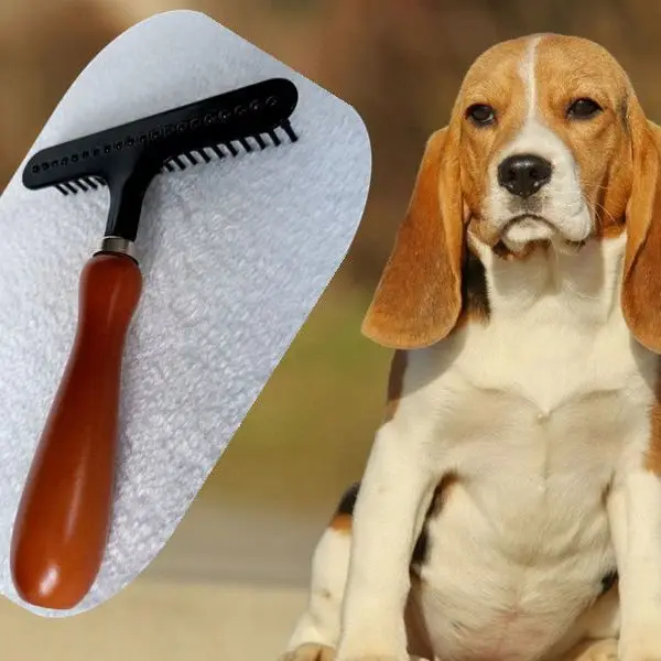 Pet Long Short Hair Wood Deshedding Tool Dog Hair Undercoat Rake Deshedding Tool For Dogs And Cats Pet Grooming Rake