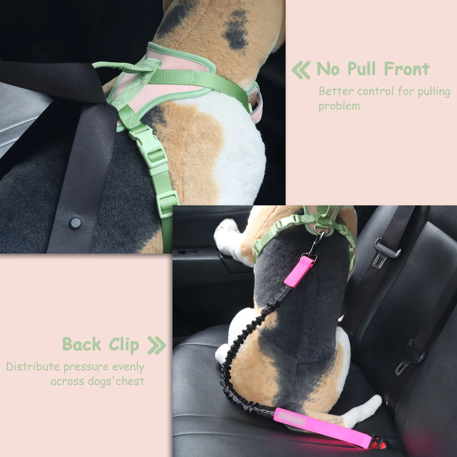 Splicing Colors for Medium Dog Harness No Pull for Large Small Dogs Adjustable Chest Strap Dog Harness Bundle Personalized