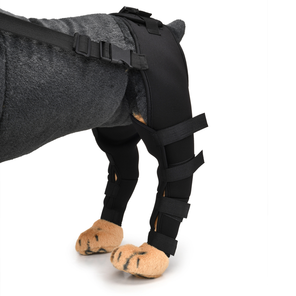 Pet Puppy Knee Pads Dog Back Leg Braces for Injured Dogs Support Brace Injury Joint Wrap Recover Protector Dog Accessories