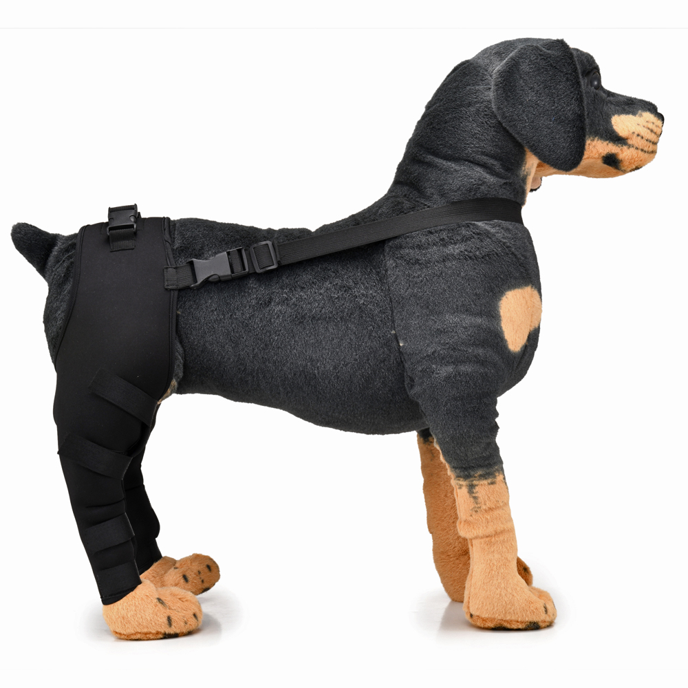 Pet Puppy Knee Pads Dog Back Leg Braces for Injured Dogs Support Brace Injury Joint Wrap Recover Protector Dog Accessories