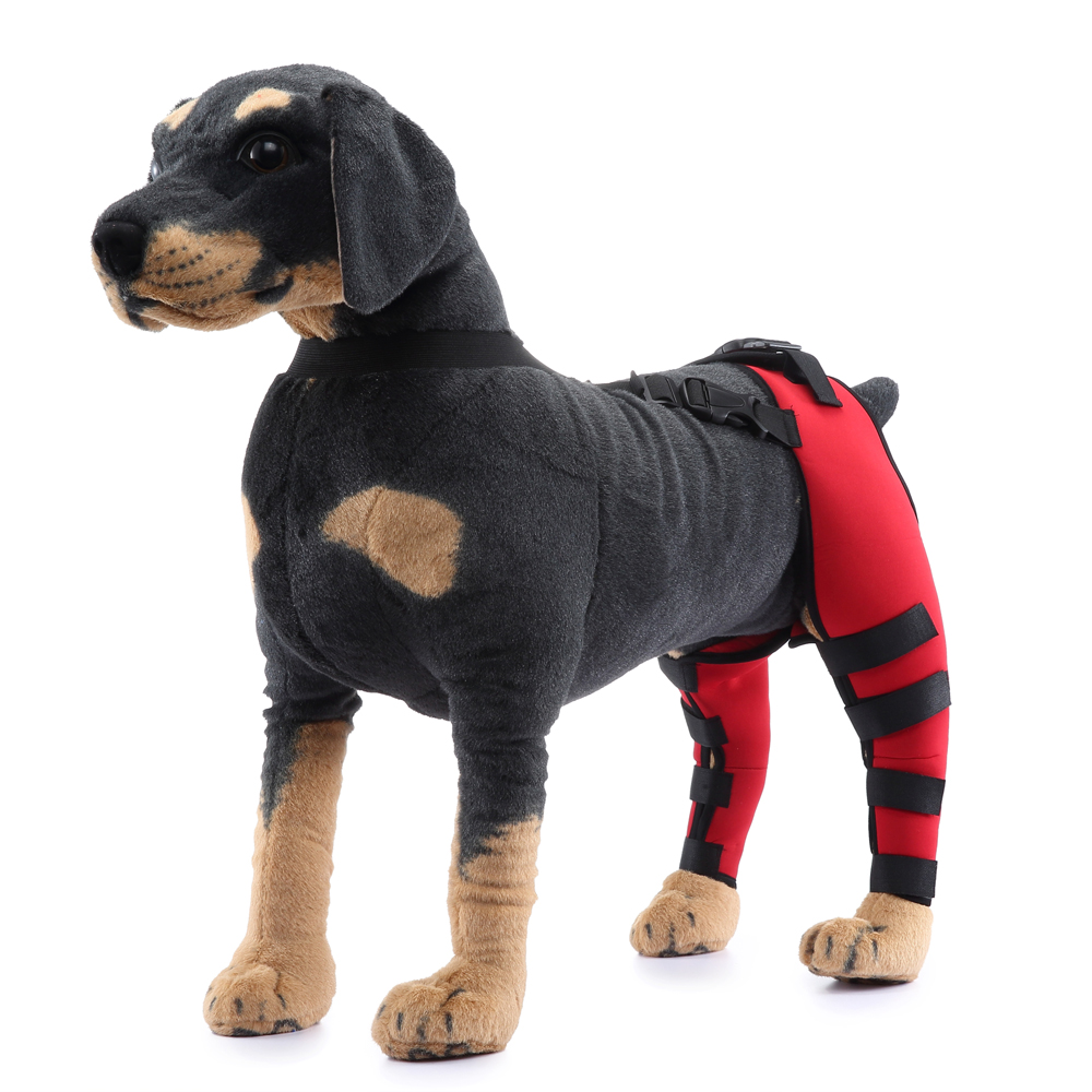 Pet Puppy Knee Pads Dog Back Leg Braces for Injured Dogs Support Brace Injury Joint Wrap Recover Protector Dog Accessories