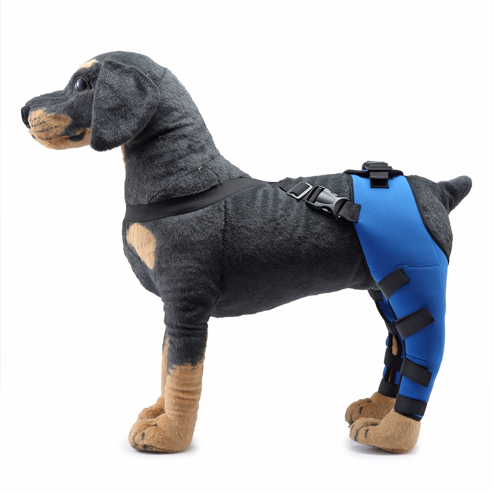 Pet Puppy Knee Pads Dog Back Leg Braces for Injured Dogs Support Brace Injury Joint Wrap Recover Protector Dog Accessories