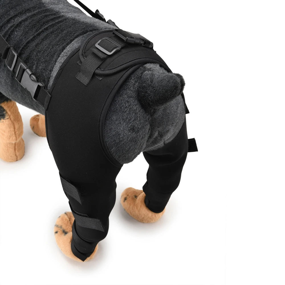 Pet Puppy Knee Pads Dog Back Leg Braces for Injured Dogs Support Brace Injury Joint Wrap Recover Protector Dog Accessories