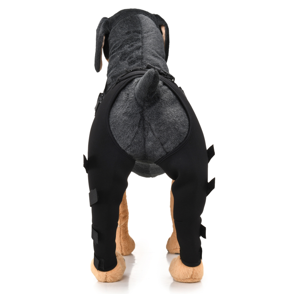 Pet Puppy Knee Pads Dog Back Leg Braces for Injured Dogs Support Brace Injury Joint Wrap Recover Protector Dog Accessories