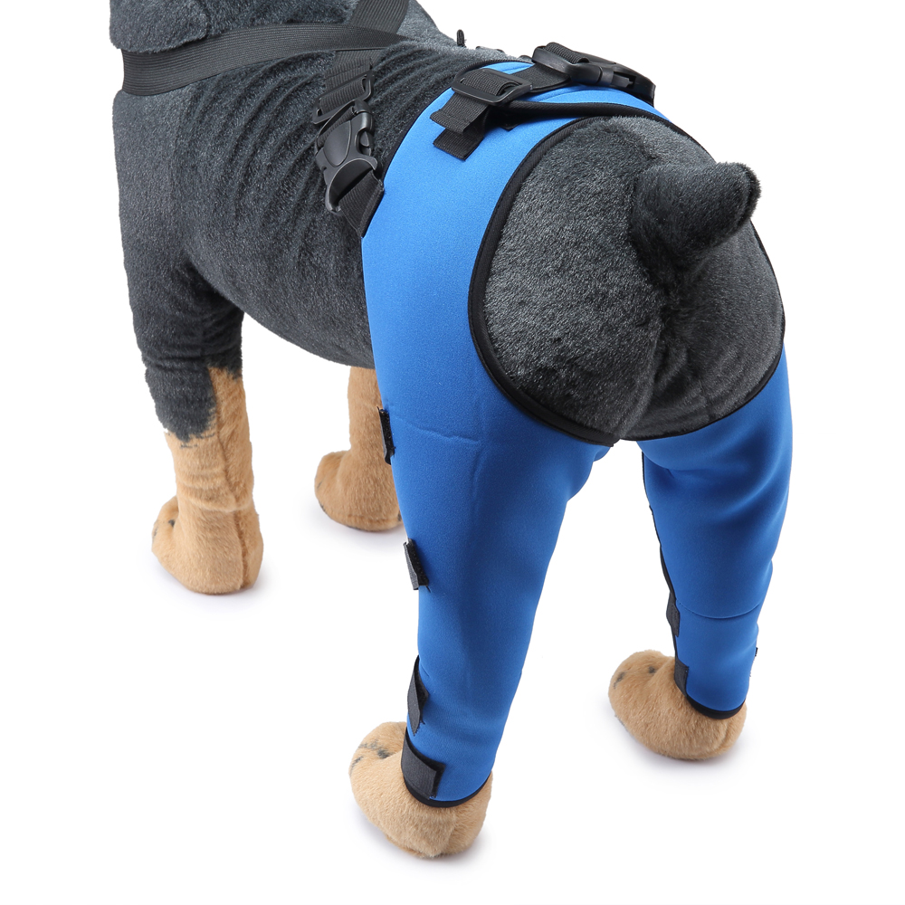 Pet Puppy Knee Pads Dog Back Leg Braces for Injured Dogs Support Brace Injury Joint Wrap Recover Protector Dog Accessories