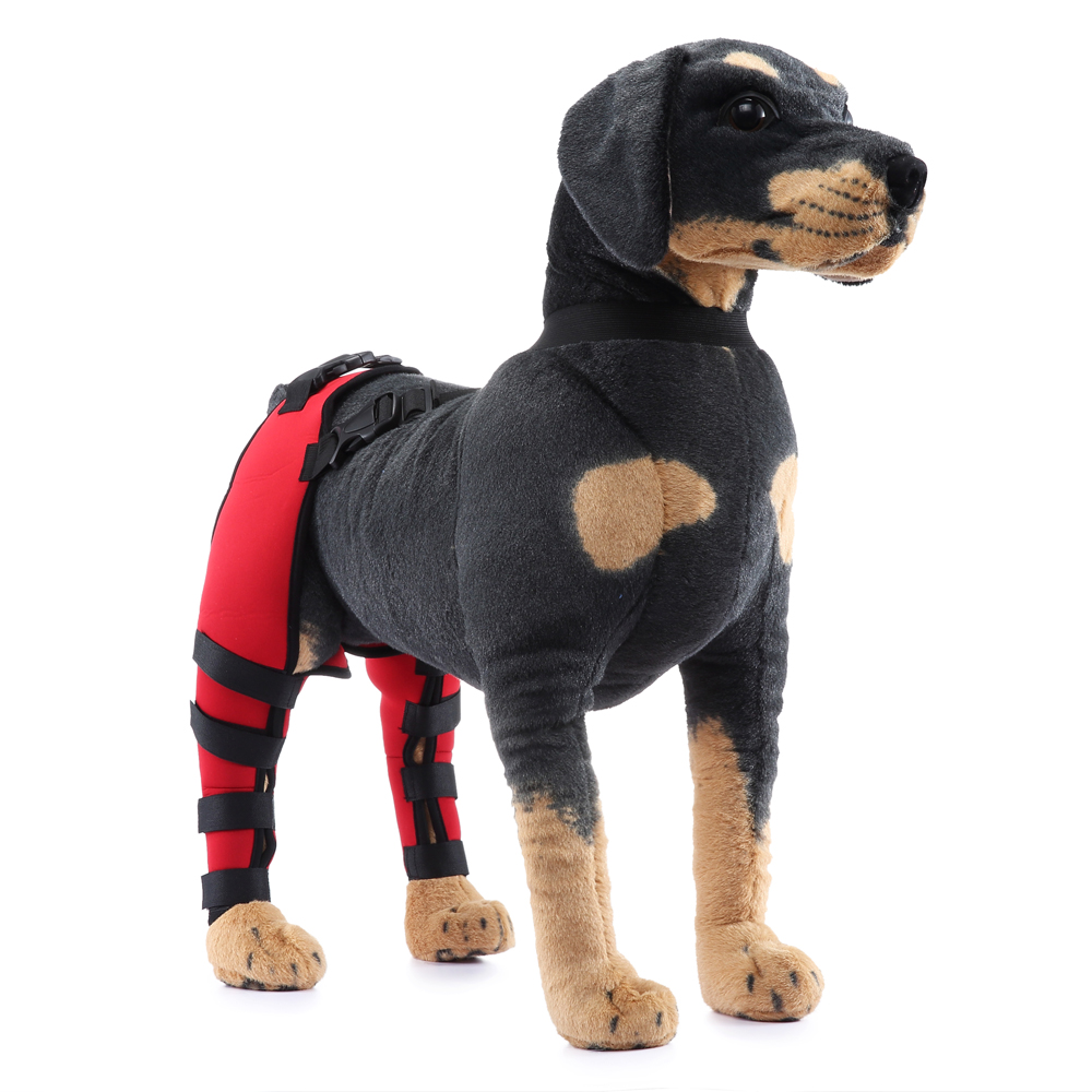Pet Puppy Knee Pads Dog Back Leg Braces for Injured Dogs Support Brace Injury Joint Wrap Recover Protector Dog Accessories