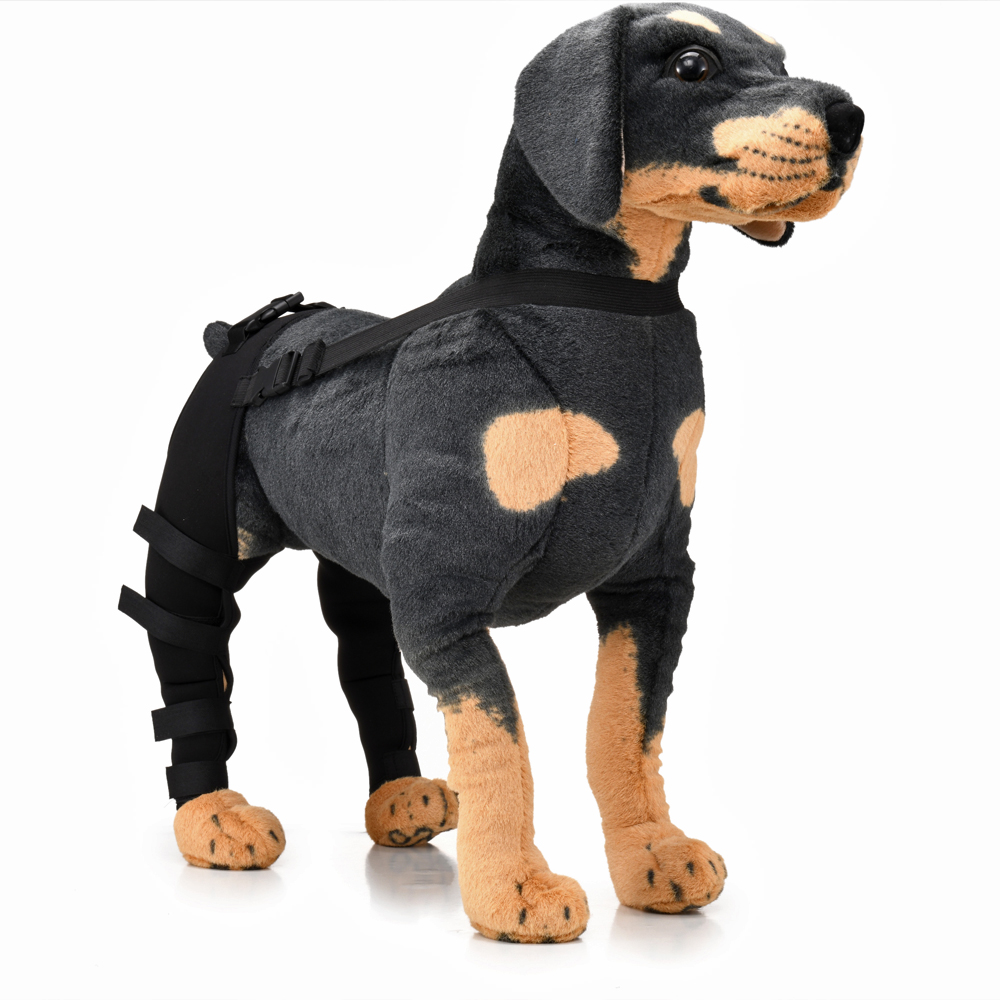 Pet Puppy Knee Pads Dog Back Leg Braces for Injured Dogs Support Brace Injury Joint Wrap Recover Protector Dog Accessories