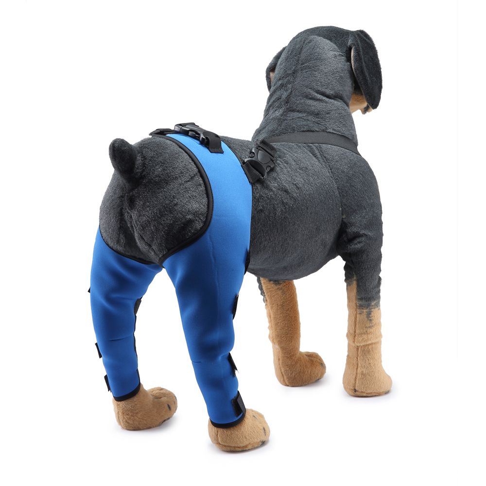 Pet Puppy Knee Pads Dog Back Leg Braces for Injured Dogs Support Brace Injury Joint Wrap Recover Protector Dog Accessories