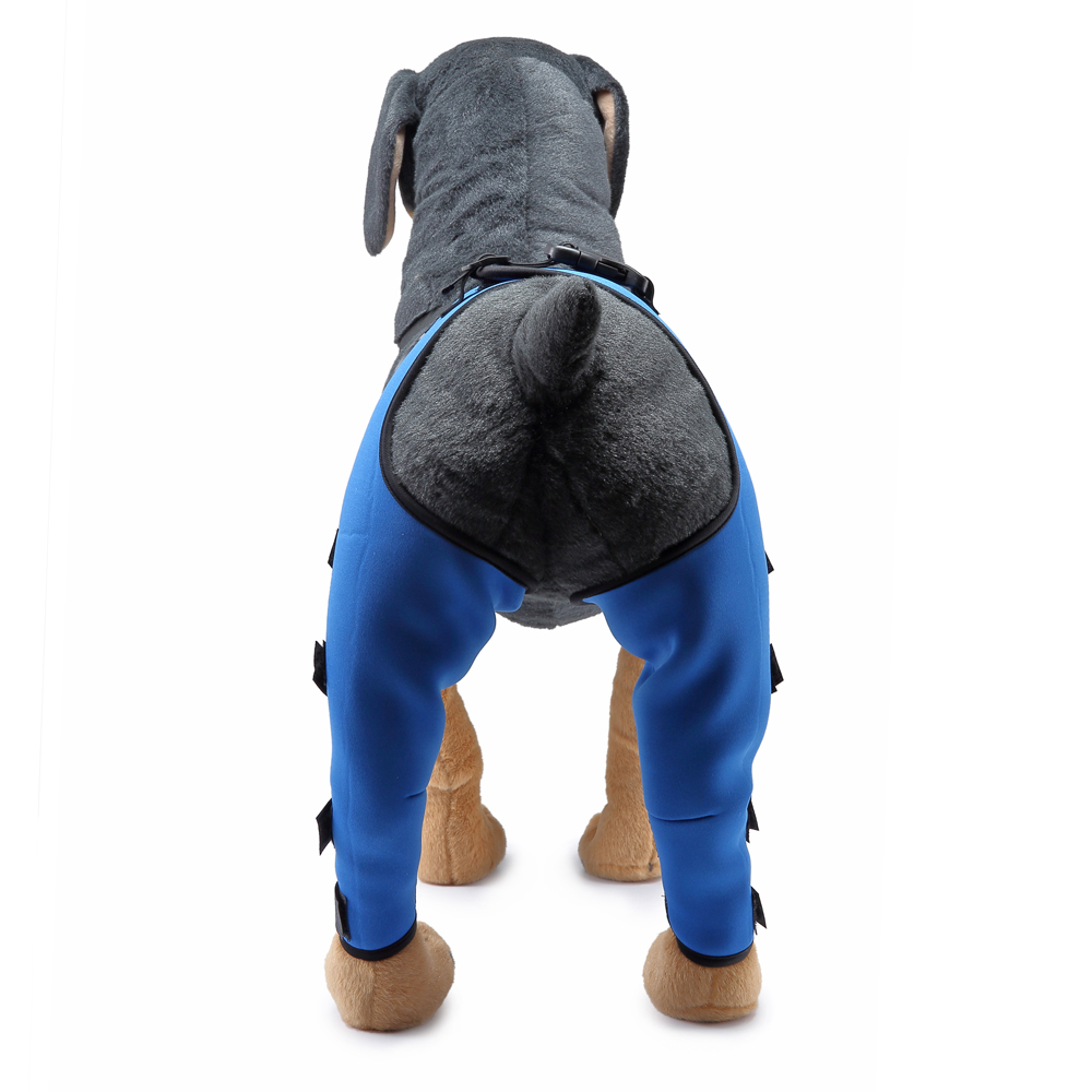 Pet Puppy Knee Pads Dog Back Leg Braces for Injured Dogs Support Brace Injury Joint Wrap Recover Protector Dog Accessories