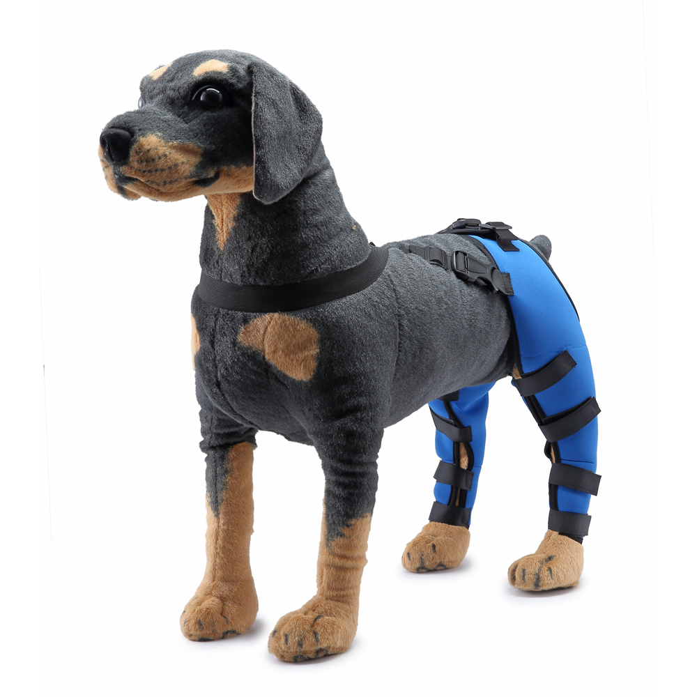 Pet Puppy Knee Pads Dog Back Leg Braces for Injured Dogs Support Brace Injury Joint Wrap Recover Protector Dog Accessories