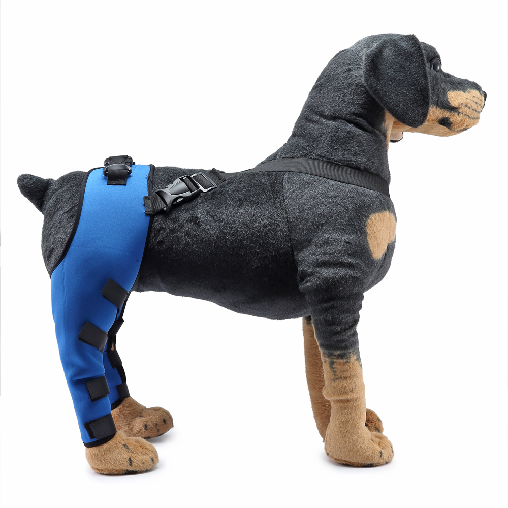Pet Puppy Knee Pads Dog Back Leg Braces for Injured Dogs Support Brace Injury Joint Wrap Recover Protector Dog Accessories
