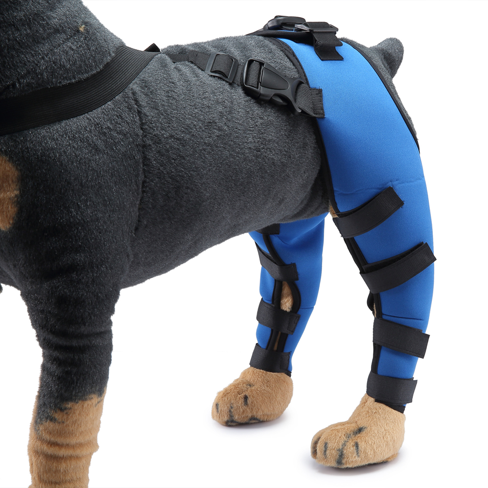 Pet Puppy Knee Pads Dog Back Leg Braces for Injured Dogs Support Brace Injury Joint Wrap Recover Protector Dog Accessories