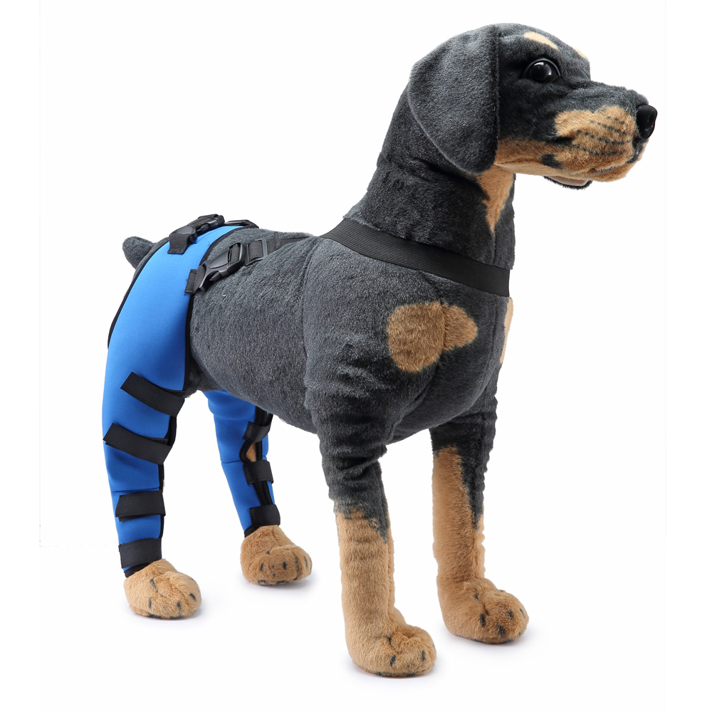 Pet Puppy Knee Pads Dog Back Leg Braces for Injured Dogs Support Brace Injury Joint Wrap Recover Protector Dog Accessories