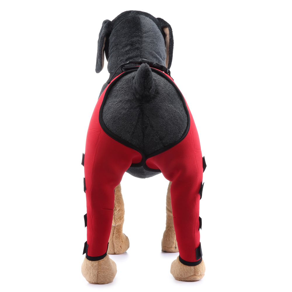 Pet Puppy Knee Pads Dog Back Leg Braces for Injured Dogs Support Brace Injury Joint Wrap Recover Protector Dog Accessories