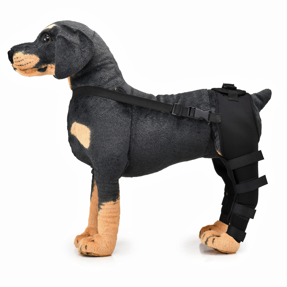 Pet Puppy Knee Pads Dog Back Leg Braces for Injured Dogs Support Brace Injury Joint Wrap Recover Protector Dog Accessories