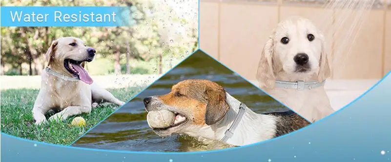3/4 Pc Dogs Calming Pheromone Collars Cats Relieve Anxiety Adjustable Comfortable Collar For Puppy Kitten Large Pets Accessories