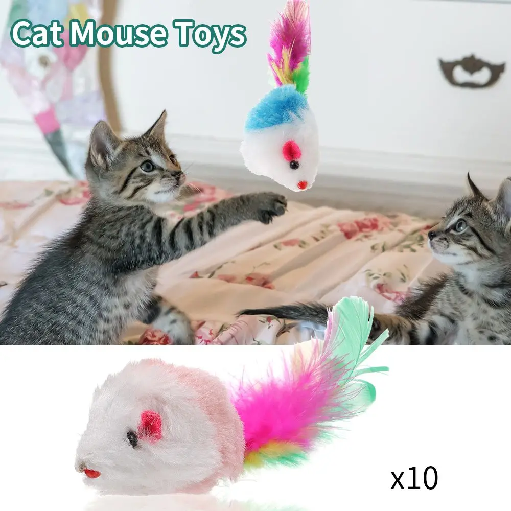 10Pcs Cat Mouse Toys Cat Toy Mice Rattle Set Interactive Cat Toy for Indoor Cats Kittens Assorted Color Toys with Feather Tail