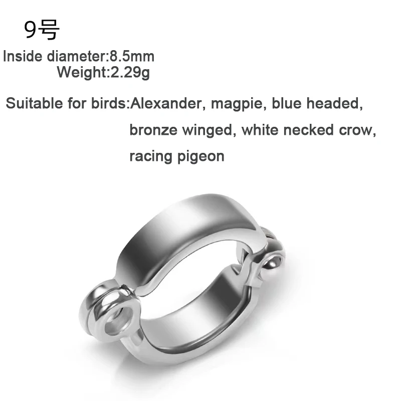 Parrot Leg Ring Stainless Steel Pet Bird Leg Ring Outdoor Flight Training Activity Anti Loss Open Leg Ring Foot Ring Chain