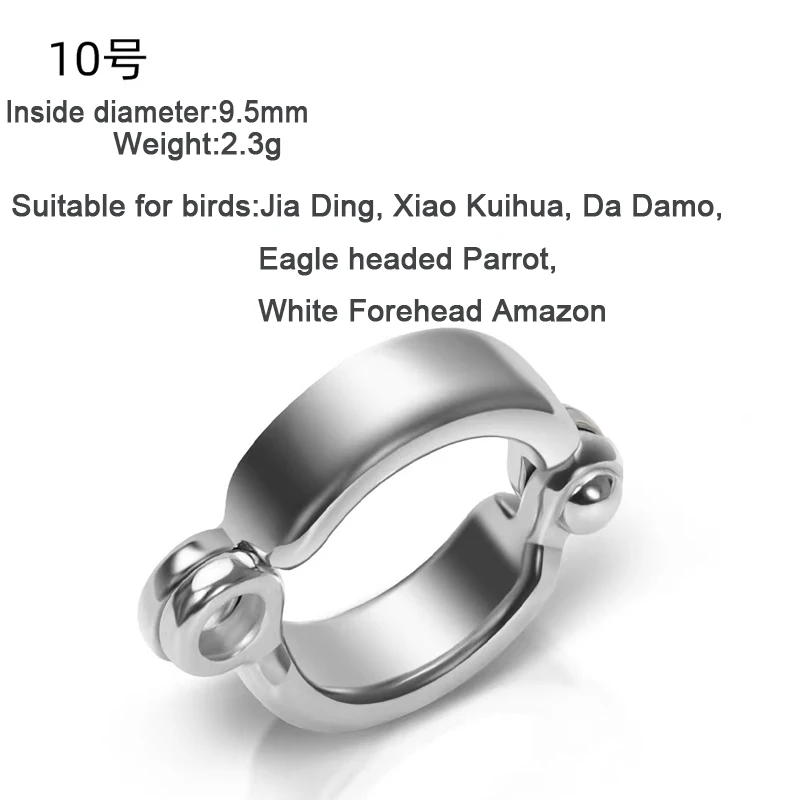 Parrot Leg Ring Stainless Steel Pet Bird Leg Ring Outdoor Flight Training Activity Anti Loss Open Leg Ring Foot Ring Chain