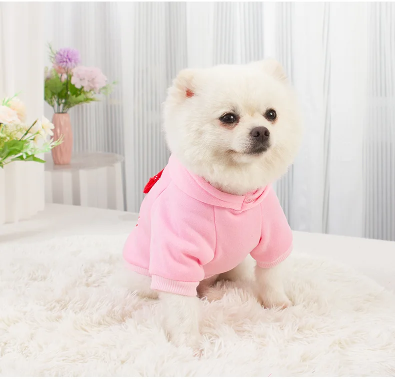 Autumn Winter Dog Clothes for Small Dogs Girls, Fleece Lined Dog Hoodies Sweater Puppy Sweatshirt Chihuahua Yorkie Apparel