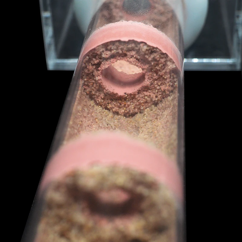 DIY Various Size Ant Farm Bamboo Tube Nest with Feeding Area Pet Anthill Workshop Queen Ant Breeding Nest Ant House Nest Bracket
