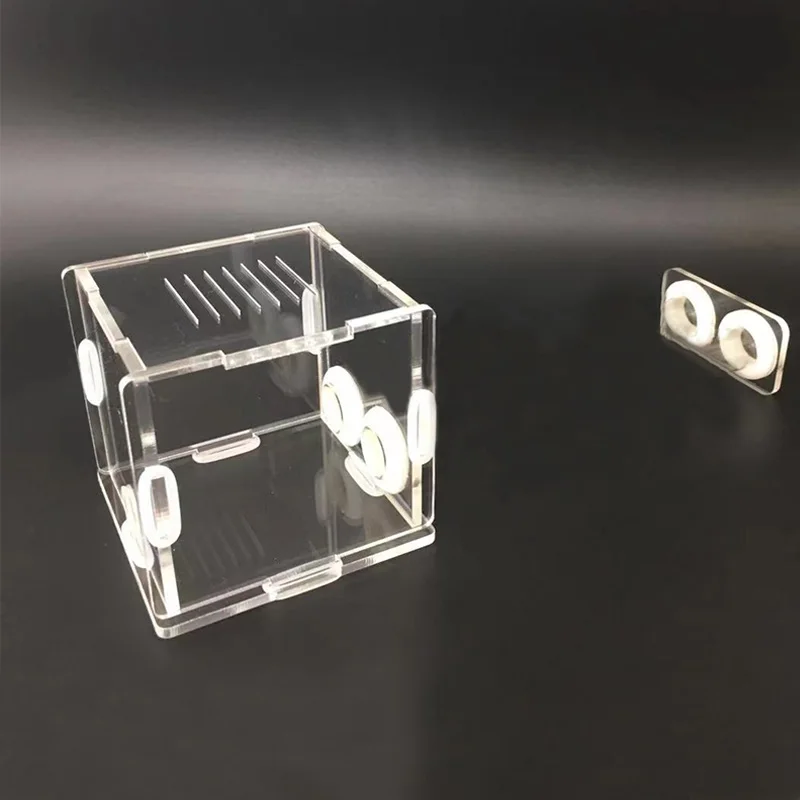 DIY Various Size Ant Farm Bamboo Tube Nest with Feeding Area Pet Anthill Workshop Queen Ant Breeding Nest Ant House Nest Bracket