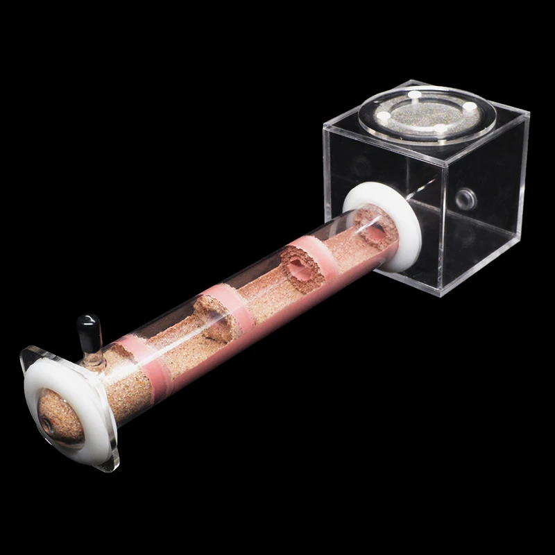 DIY Various Size Ant Farm Bamboo Tube Nest with Feeding Area Pet Anthill Workshop Queen Ant Breeding Nest Ant House Nest Bracket