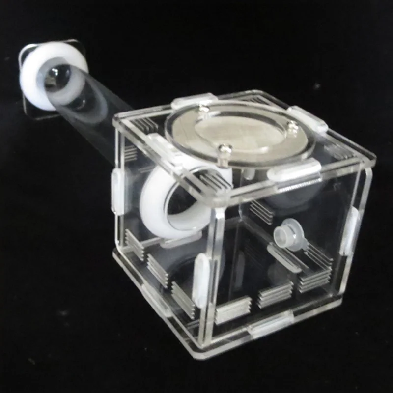 DIY Various Size Ant Farm Bamboo Tube Nest with Feeding Area Pet Anthill Workshop Queen Ant Breeding Nest Ant House Nest Bracket