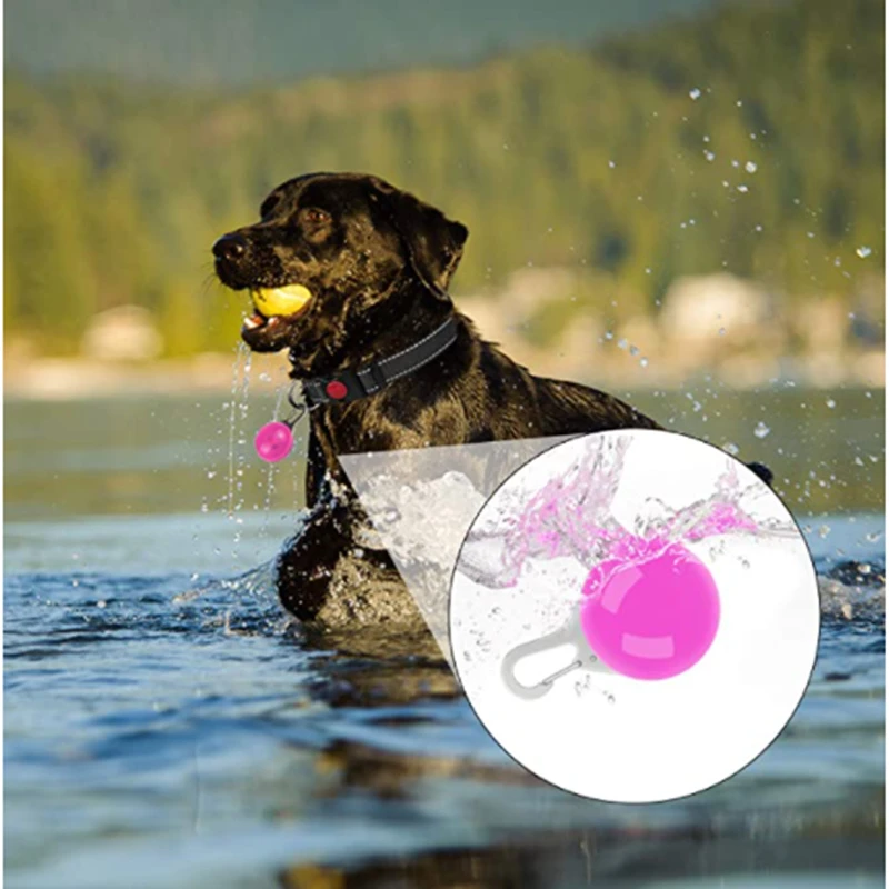 LED Luminous Collar Adjustable Glowing Dog Collar USB Rechargea Flashing Anti-Lost/Avoid Car Accident Collar Dogs Pet Products