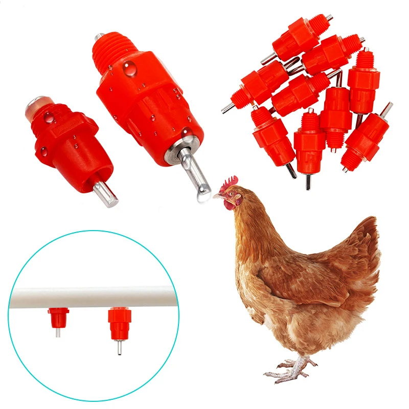 10/15/20/50 Pcs Chicken Waterer Nipple Drinkers Quail Pigeon Waterer Nipple Automatic Water Spring Type Poultry Farming Supplies