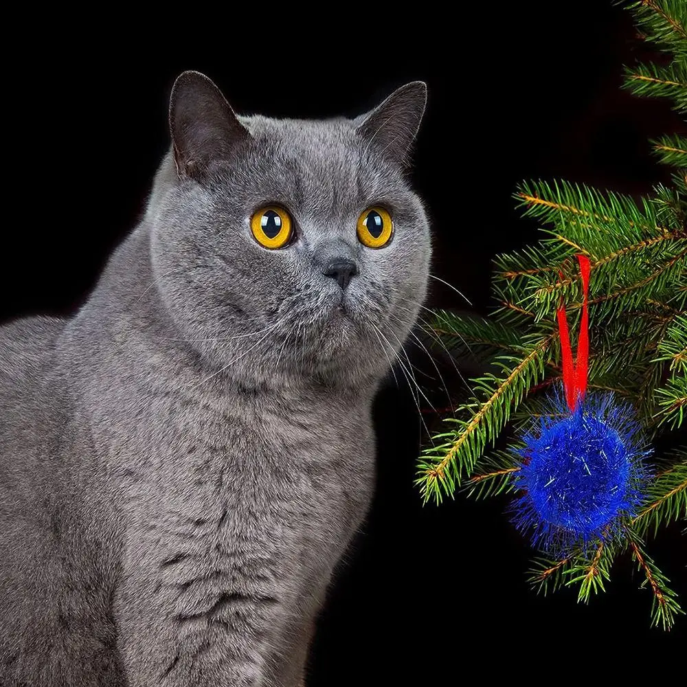 50Pcs Cats Sparkle Balls Dogs Glitter Pom Pom Balls Kitten Puppy Interactive Ball Toys Pet Accessories
