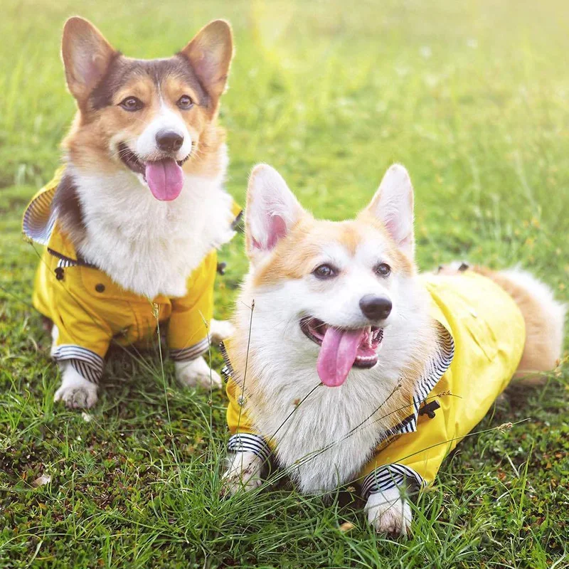 Fashion French Bulldog Pet Rain Coat for Small Medium Dogs Waterproof Puppy Dog Clothes Pug Corgi Pitbull Mascotas Raincoat