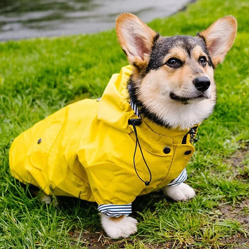 Fashion French Bulldog Pet Rain Coat for Small Medium Dogs Waterproof Puppy Dog Clothes Pug Corgi Pitbull Mascotas Raincoat