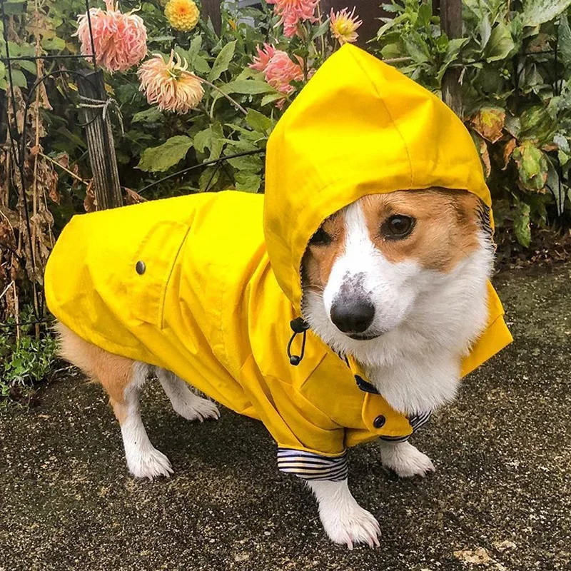 Fashion French Bulldog Pet Rain Coat for Small Medium Dogs Waterproof Puppy Dog Clothes Pug Corgi Pitbull Mascotas Raincoat