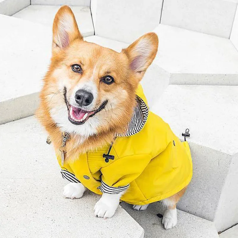 Fashion French Bulldog Pet Rain Coat for Small Medium Dogs Waterproof Puppy Dog Clothes Pug Corgi Pitbull Mascotas Raincoat
