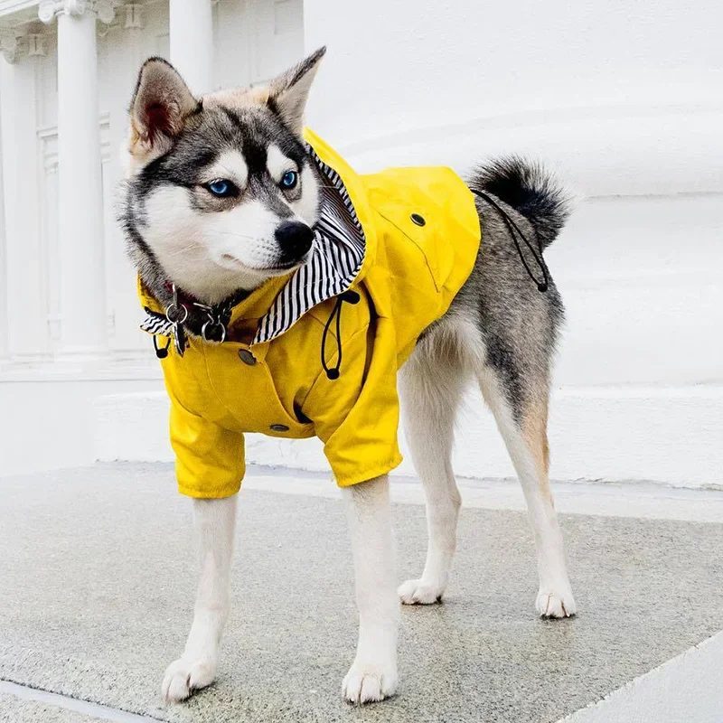 Fashion French Bulldog Pet Rain Coat for Small Medium Dogs Waterproof Puppy Dog Clothes Pug Corgi Pitbull Mascotas Raincoat