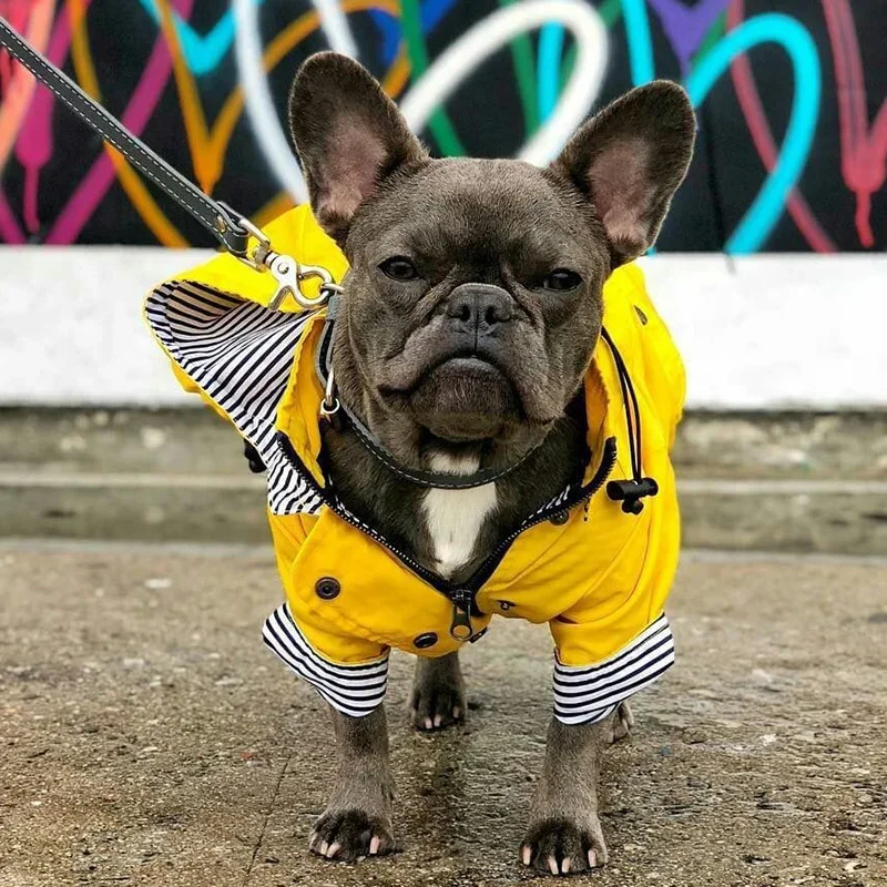 Fashion French Bulldog Pet Rain Coat for Small Medium Dogs Waterproof Puppy Dog Clothes Pug Corgi Pitbull Mascotas Raincoat