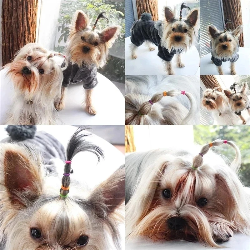 300PcsColourful Cat Dog Rubber Band Elastic Hair Bands Headband Children Pet Grooming Hair Accessory Girls Headwear