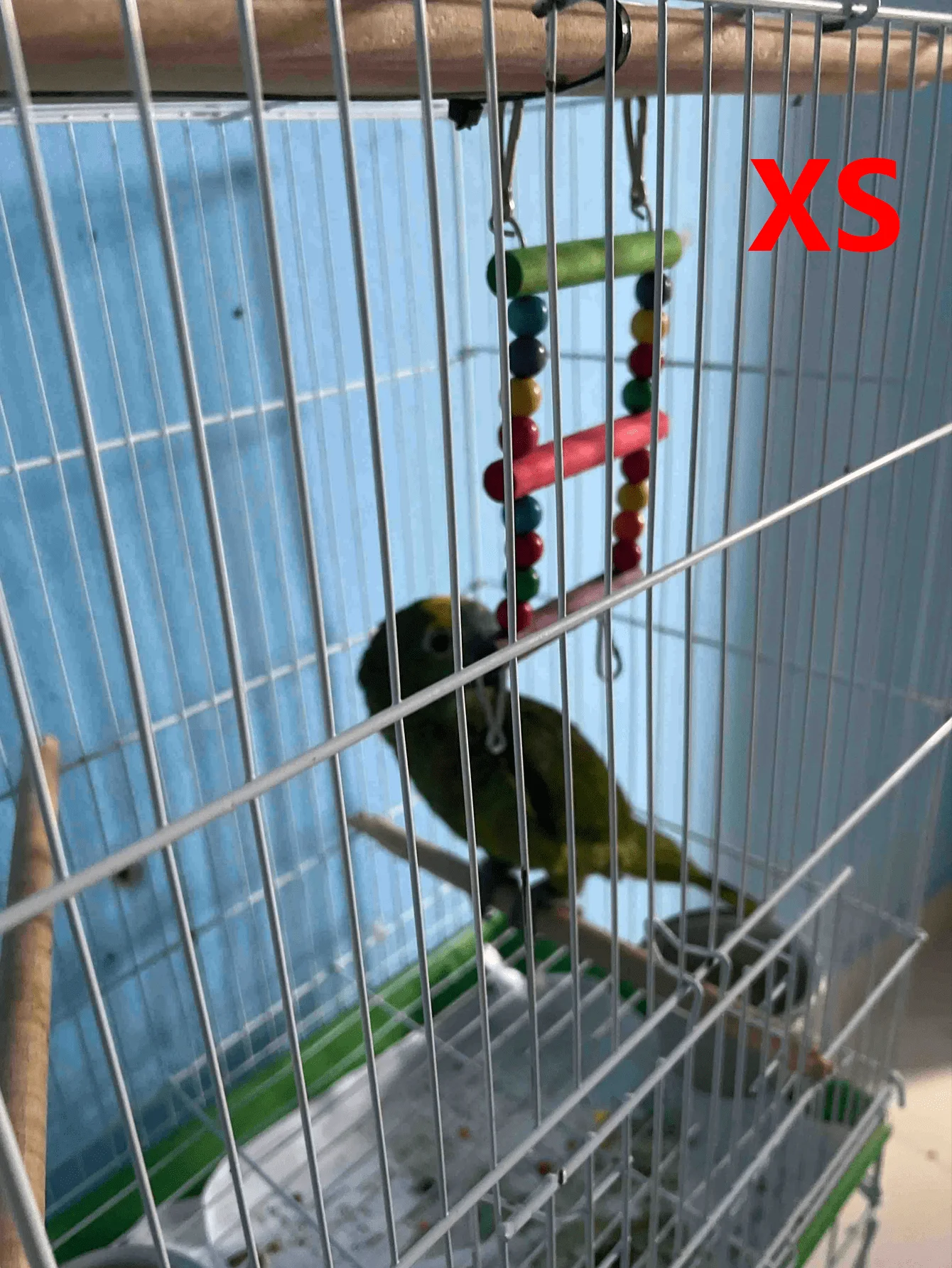 Colorful Wooden Bird Ladder & Swing - Perfect Habitat For Small Parrots