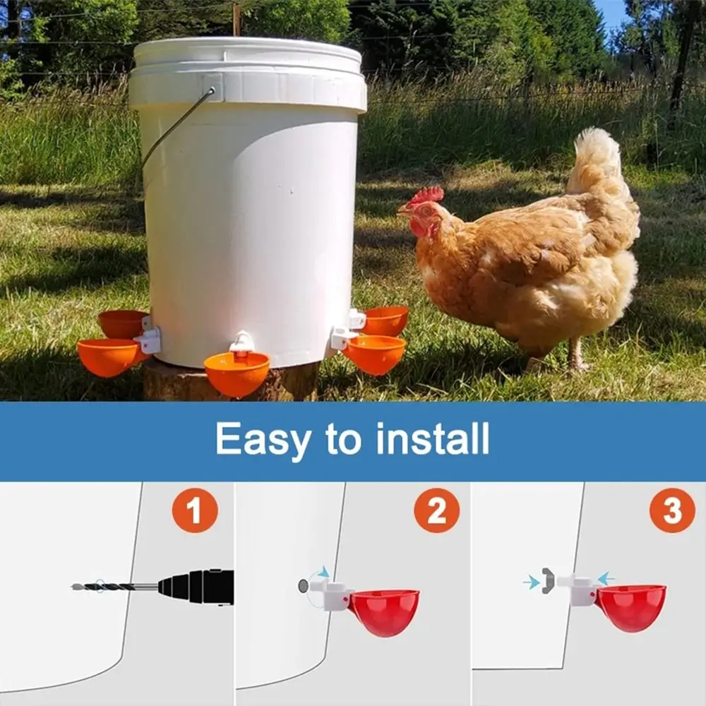 4PCS Poultry Kit Automatic Chicken Water Feeder Automatic Drinking Bowl Feeding Watering Supplie Chicken Waterer