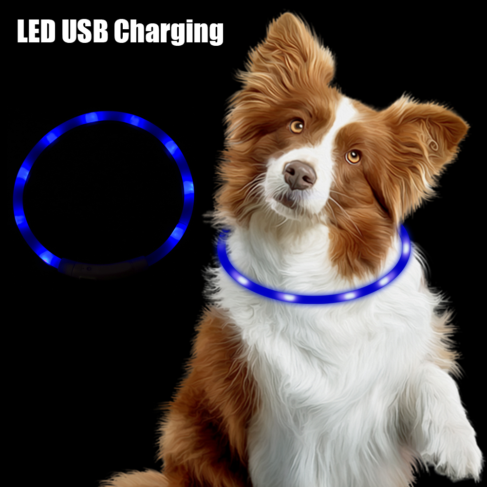 Dog Loss Prevention Led Usb Dog Collar Pet Accessories Night Safety Flashing Glow  Collar Night Luminous Charge Collar