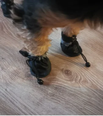 4pcs/set Waterproof Pet Dog Shoes Anti-slip Rain Boots Footwear for Small Cats Dogs Puppy Dog Pet Booties Pet Paw Accessories