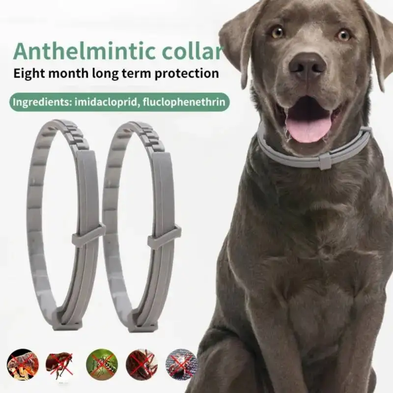 New Releases Dog Collar,Cat Anti-flea and Tick Collars, Pet 8Months Protection, Can Be Automatically Adjusted, Dogs Accessories