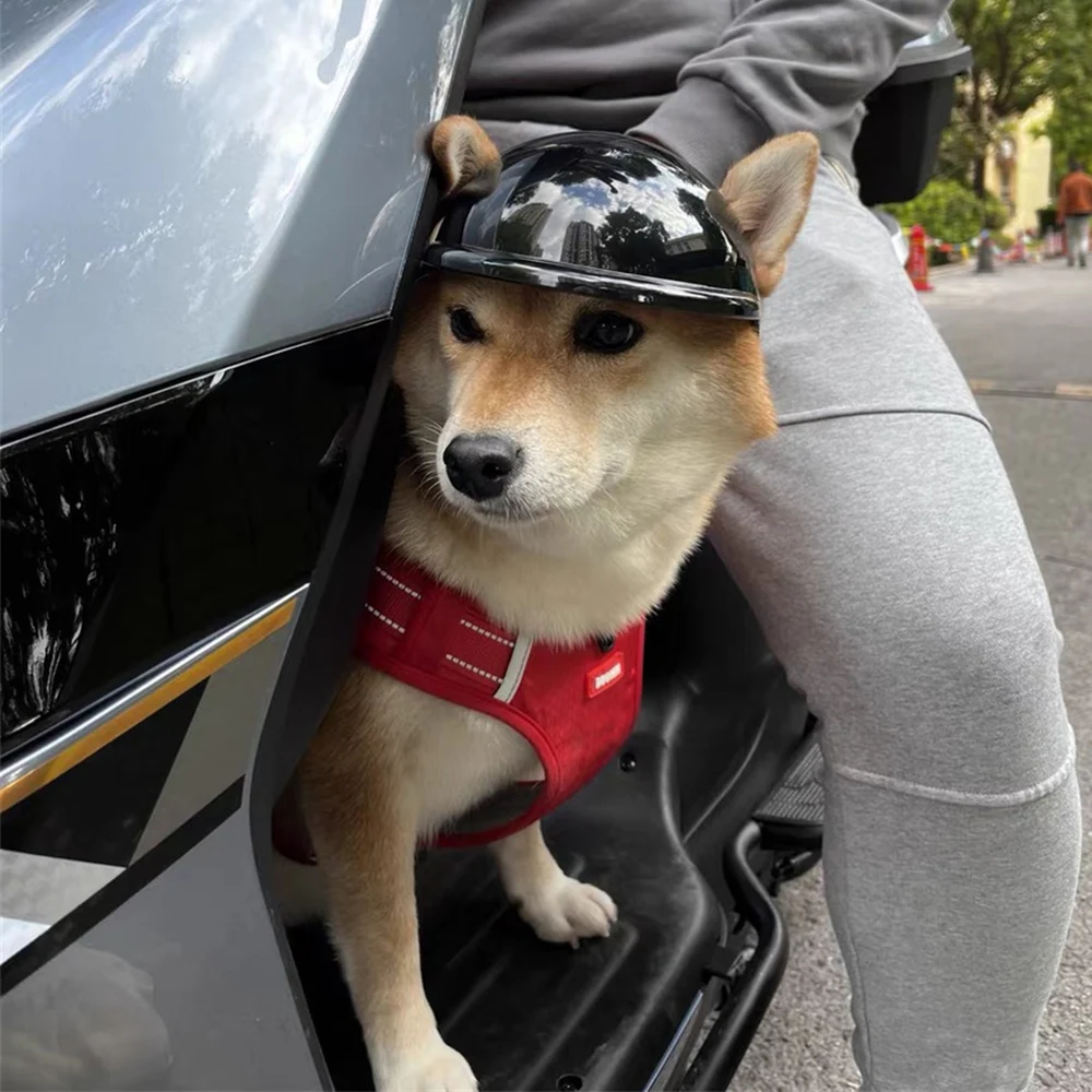 Hiking Cycling French Bulldog Pet Locomotive Helmet Handsome Dog Accessories for Small Medium Dogs Puppy Mascotas Hat Headgear